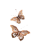 Nature Wall Art Pair 3D Decor Copper Butterflies w , Jewish Wedding Gi